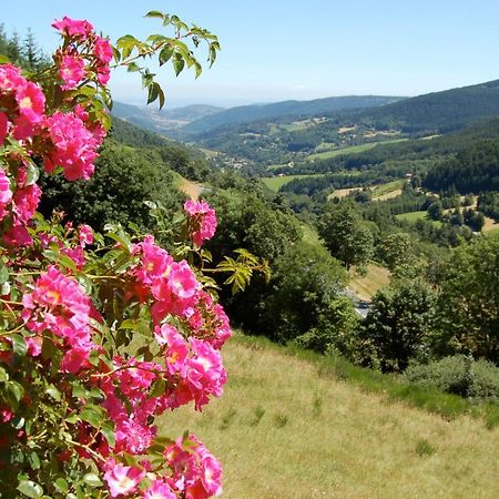 Ancienne Petite Ferme Renovee Villa Saint-Regis-du-Coin ภายนอก รูปภาพ